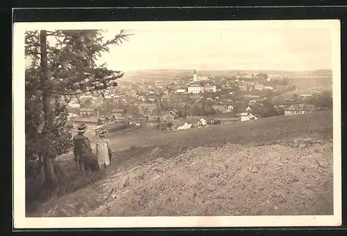 AK Wagstadt, Ausblick vom Richterwäldchen