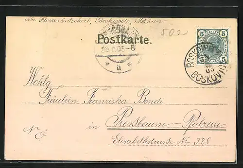 AK Boskowitz, Pillathal