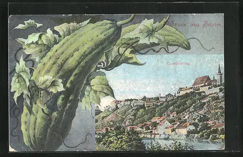 AK Znaim, Carolinenberg, Gurke