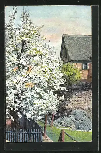 Künstler-AK Photochromie Nr. 2444: Fachwerkhaus im Frühling