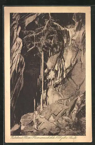 AK Rübeland /Harz, Hermannshöhle, 800jähr. Säule