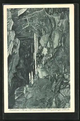 AK Rübeland /Harz, Hermannshöhle, 800jähr. Säule