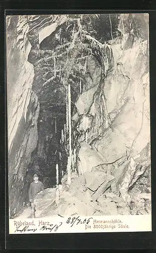 AK Rübeland /Harz, Hermannshöhle, 800jähr. Säule mit Besucher