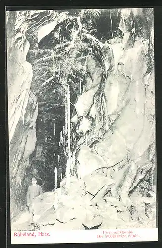 AK Rübeland /Harz, Hermannshöhle, 800jähr. Säule mit Besucher