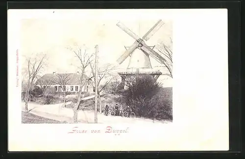 AK Sonderburg, Düppel-Mühle im Frühjahr, Windmühle