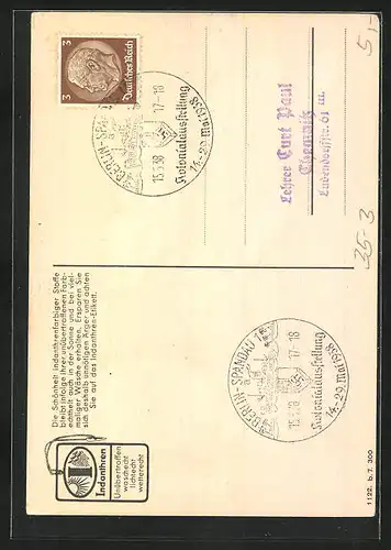 AK Schmetterlinge mit Tuchen, Reklame für Indanthren