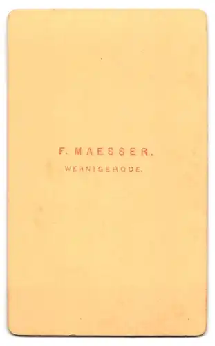 Fotografie F. Maesser, Wernigerode, Portrait kleiner Junge in modischer Kleidung
