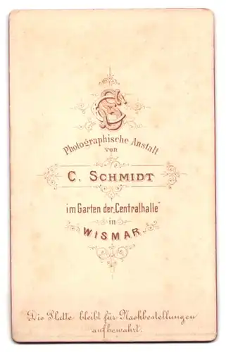 Fotografie C. Schmidt, Wismar, Portrait junge Dame im Kleid mit Buch