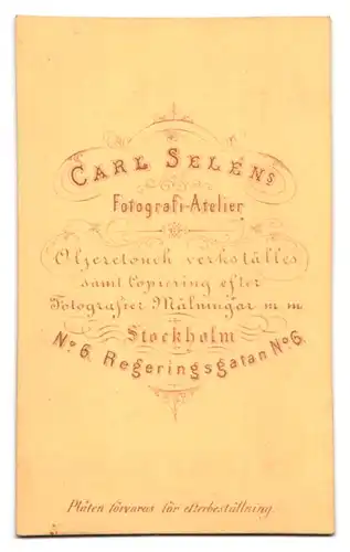 Fotografie Carl Selen, Stockholm, Regeringsgatan 6, Portrait junge Dame im karierten Kleid