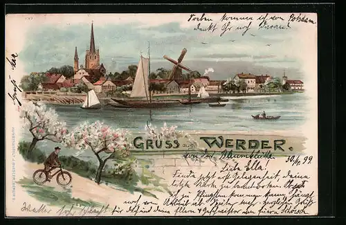 Lithographie Werder, Panorama während Baumblüte, Windmühle