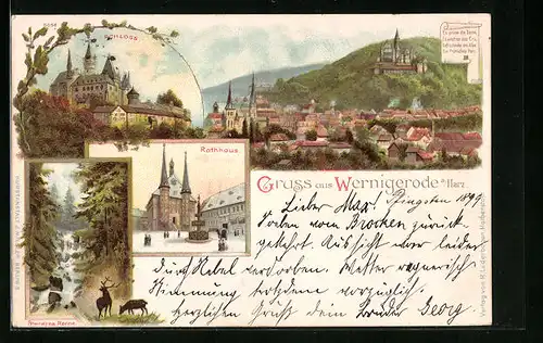 Lithographie Wernigerode /Harz, Rathaus, Steinerne Renne, Schloss