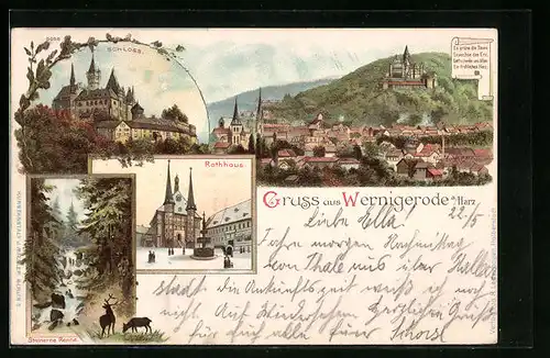 Lithographie Wernigerode a. H., Schloss, Rathaus, Totalansicht, Steinerne Renne