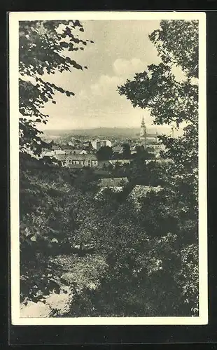 AK Novy Jicin, Panorama