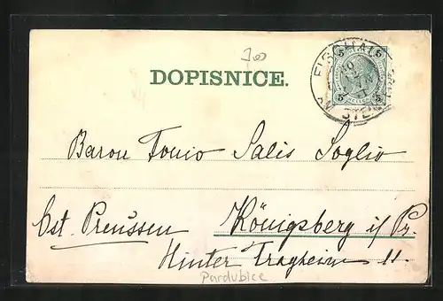 Lithographie Pardubice, Panorama, Zelena brana, Radnice