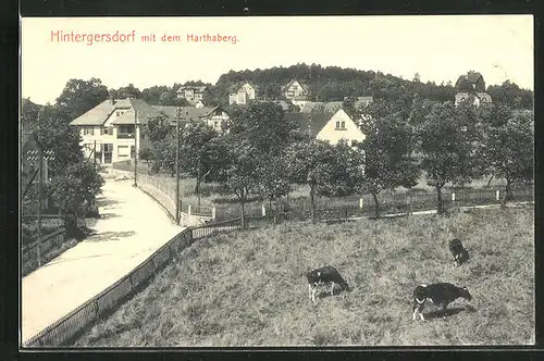 AK Hintergersdorf, Blick mit dem Harthaberg