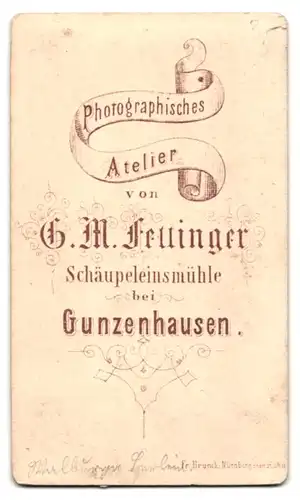 Fotografie G. M. Fettinger, Gunzenhausen, Portrait junge Frau im Biedermeierkleid mit karierter Schürze, Halstuch
