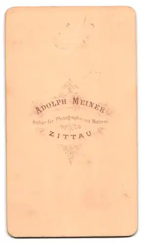 Fotografie Adolph Meiner, Zittau, Portrait zwei Jungen u. Mädchen in hübscher Kleidung