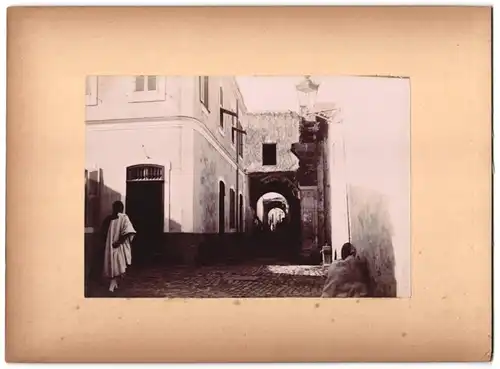 15 Fotografien unbekannter Fotograf, Algerien, Algier Hafen & Stadt, Einheimische, Festung-Fort, Beduinen Krieger