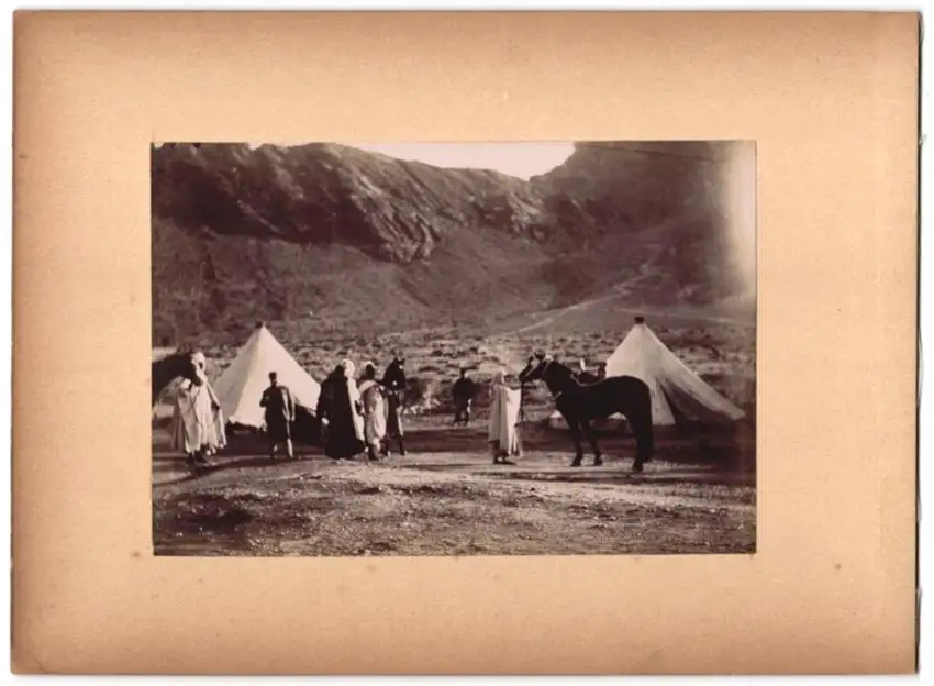 15 Fotografien unbekannter Fotograf, Algerien, Algier Hafen & Stadt, Einheimische, Festung-Fort, Beduinen Krieger 8