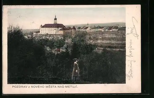 AK Nove Mesto n. M., Panorama