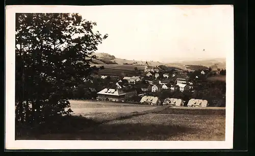 AK Olesnice v Orlickych horach, Panorama