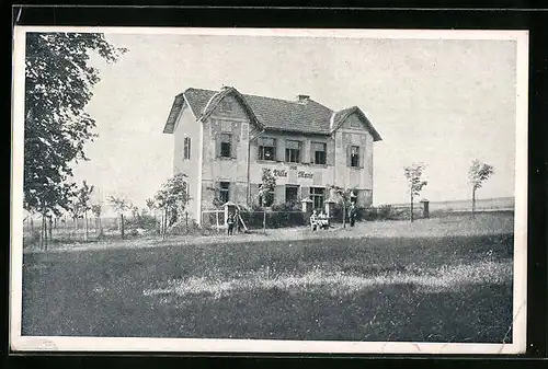 AK Cernovice, Villa Marie