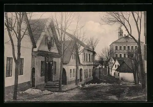 AK Borova, Ulice s rodnym domkem K. Havlicka