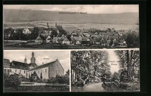 AK Willebadessen i. Westf., Kirche, Partie im Wald, Panorama