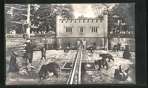 AK Berne, La Fosse aux ours