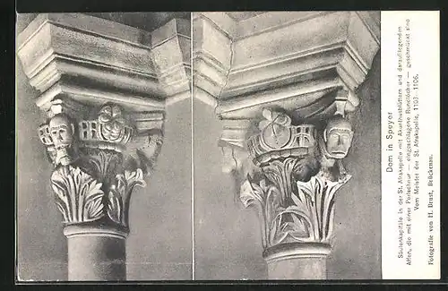 AK Speyer, Dom, Säulenkapitäle in der St. Afrakapelle mit Akunthusblättern und daraufliegenden Affen