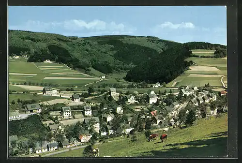 AK Willingen /OT Schwalefeld, Blick vom Lür auf den Ort