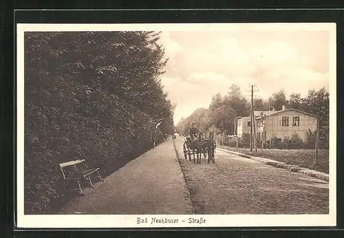 AK Neuhausen /Erzgeb., Bad Neuhäuser Strasse mit Pferdekutsche