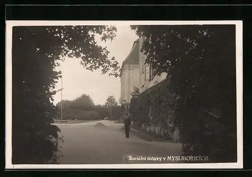 AK Mysliborice, Teilansicht des mit Efeu bewachsenen Schlosses