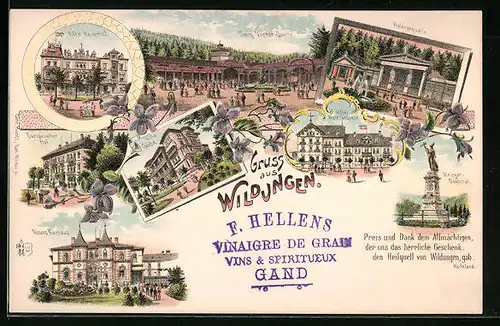 Lithographie Wildungen, Hotel Helenenquelle, Hotel Kaiserhof, Neues Kurhaus