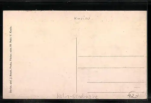 AK Kolin-Sendrazice, Gebäudeansicht, Strassenpartie mit Geschäft, Denkmal