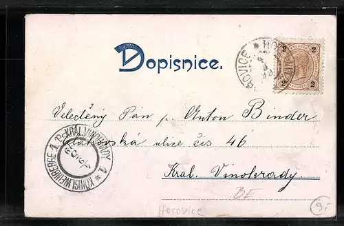 AK Horovice, Radnice, Mest. skola a Dek. kostel, Knizeci zamek