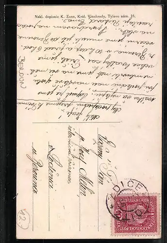 AK Zdice, Sokol, Strassenpartie aus der Vogelschau