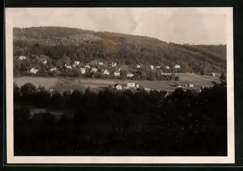 AK Zlenice nad Sázavou, Ortsansicht aus der Ferne