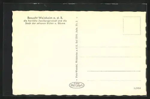 AK Weinheim a. d. B., Ortsansicht aus der Vogelschau