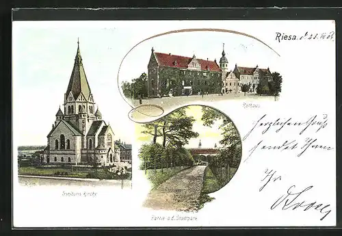 AK Riesa, Rathaus, Trinitatis-Kirche und Partie im Stadtpark