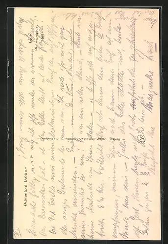 AK Dahme i. Holst., Strandpartie mit n