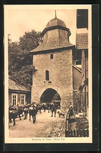 AK Stolberg / Harz, Altes Tor