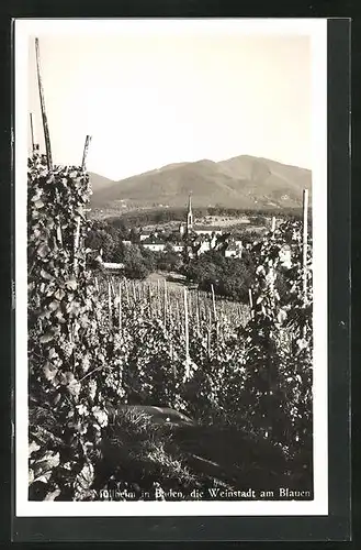 AK Müllheim / Baden, Ortsansicht aus der Vogelschau
