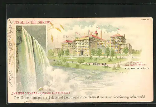 AK Niagara Falls, NY, Factory of Shredded Wheat, Biscuit and Triscuit, Cereal Foods, Niagara Falls, Reklame