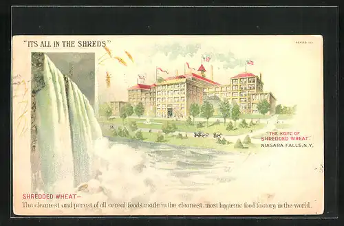 AK Niagara Falls, NY, Factory of Shredded Wheat, Cereal Foods, Niagara Falls, Reklame