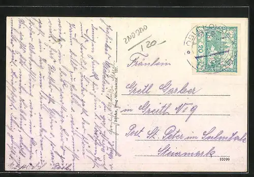 AK Znaim, Thayapartie mit Ruderbooten