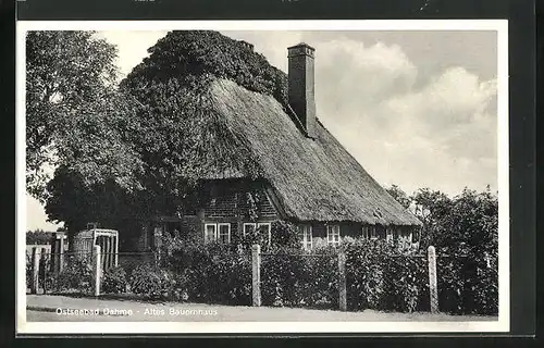 AK Dahme i. Holst., Altes Bauernhaus