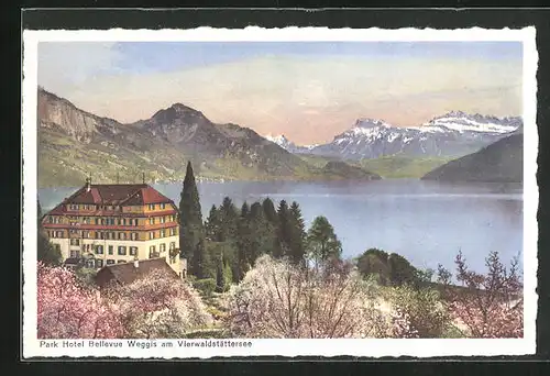 AK Weggis, Park Hotel Bellevue