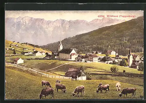 AK Wildhaus, Ortsansicht mit Kirche