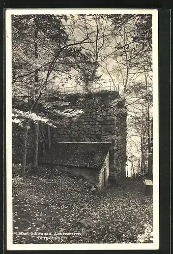 AK Lauerz, Insel Schwanau mit Burgruine